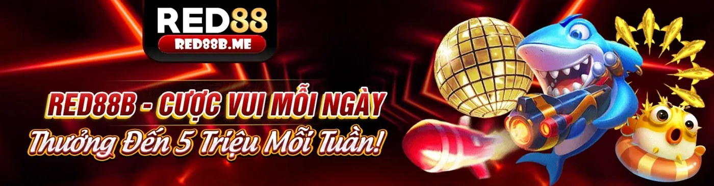 N66 Hiện Đang Mở - Đăng Ký Ngay